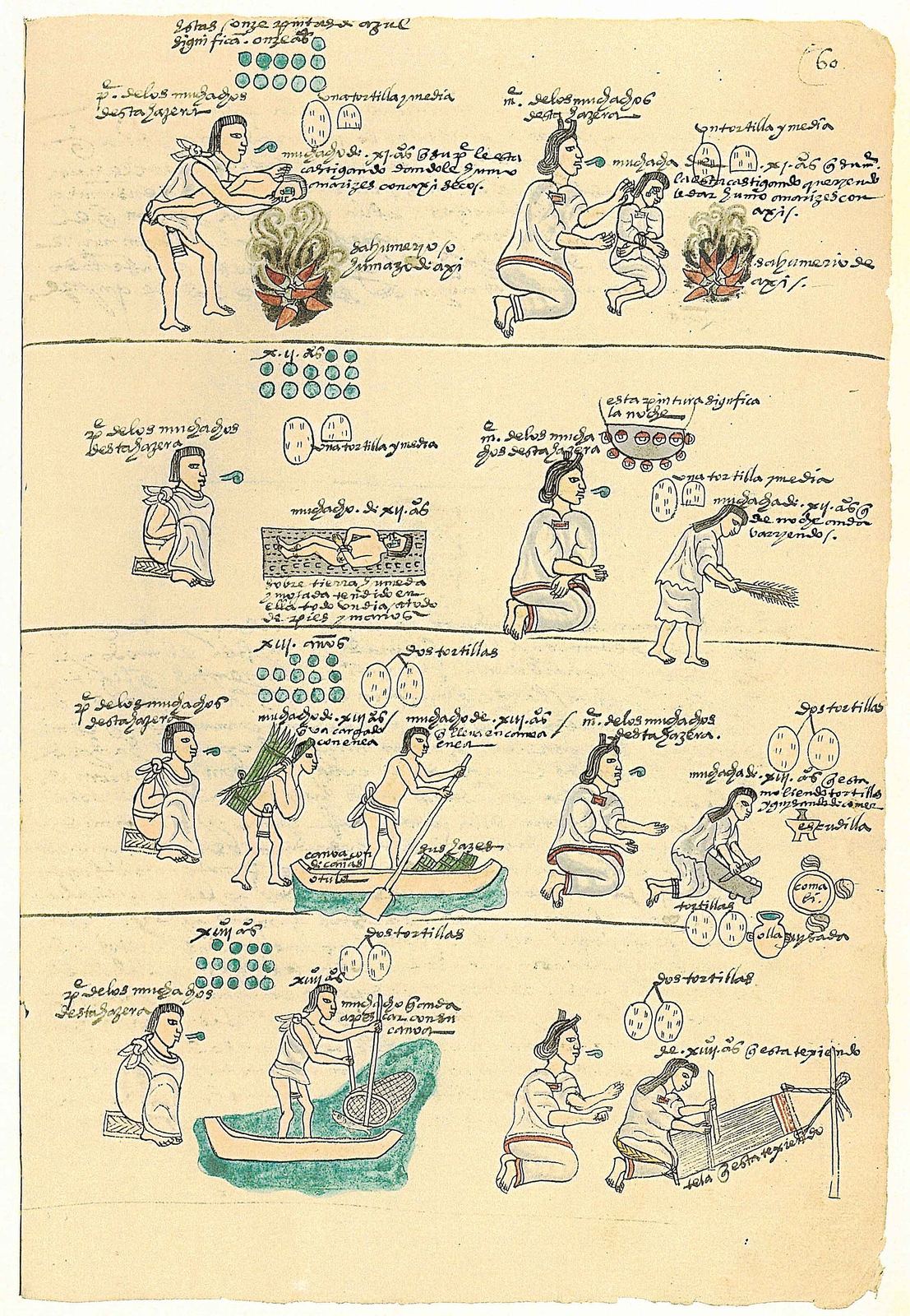 A page from the Codex Mendoza, painted in Mexico City around 1541, recording Mexica daily life and tribute — including the maize kitchen that still needs a comal.
