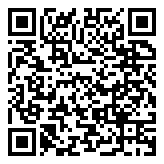 QR code for Brasileiro Fried Bites 2