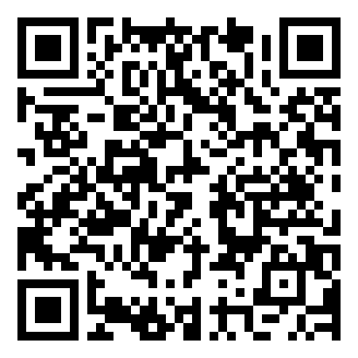 QR code for Salteado de Pollo Peruano 2